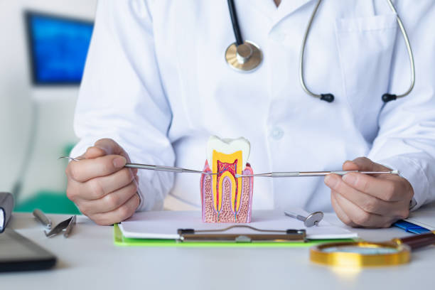 Best Emergency Treatment for Dental Infections or Abscesses in Ivanhoe, TX